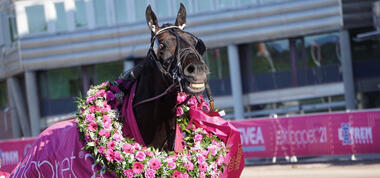 Elitloppet-Sieger 2021 Don Fanucci Zet (Foto: elitloppet.se) Elitloppet-Sieger 2021 Don Fanucci Zet (Foto: elitloppet.se)