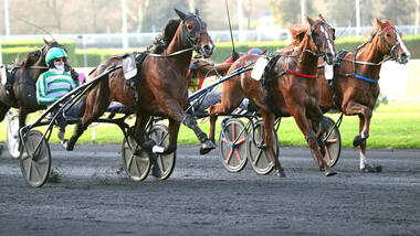 Jushua Tree im Critérium Continental (Foto: letrot.com)