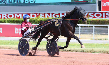 Idéal Ligneries beim Sieg am 11. August in Enghien (Foto: province-courses.fr) Idéal Ligneries beim Sieg am 11. August in Enghien (Foto: province-courses.fr)