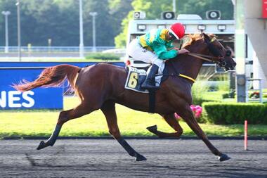 Freeman de Houëlle im Prix Paul Delanoë (Foto: paris-turf.com) Freeman de Houëlle im Prix Paul Delanoë (Foto: paris-turf.com)