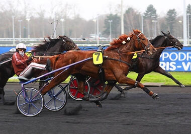 JMB's Gruß mit dem Fuß an die Fotografen (Foto: letrot.com) JMB's Gruß mit dem Fuß an die Fotografen (Foto: letrot.com)