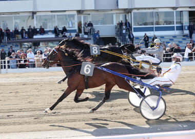 Colbert WF bei den Hengsten im Gran Premio Città di Torino (Foto: equos.it) Colbert WF bei den Hengsten im Gran Premio Città di Torino (Foto: equos.it)