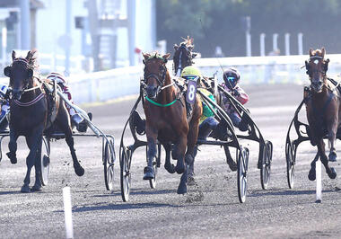 Face Time Bourbon ohne Ende © letrot.com