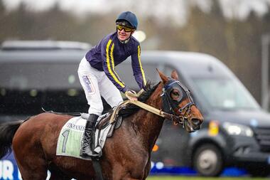 Heuristique im Prix Jacques Andrieu (Foto: paris-turf.com) Heuristique im Prix Jacques Andrieu (Foto: paris-turf.com)