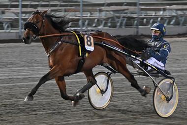 Frankie Godiva mit Conrad Lugauer (Foto: Facebook HalmstadTravet) Frankie Godiva mit Conrad Lugauer (Foto: Facebook HalmstadTravet)