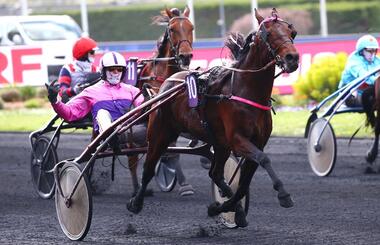 Diable de Vauvert im Prix Jamin (Foto: province-courses.fr) Diable de Vauvert im Prix Jamin (Foto: province-courses.fr)