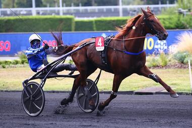 Galius lebt nicht mehr (equidia.fr) Galius lebt nicht mehr (equidia.fr)