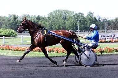 Ganymède ist im hohen Alter eingegangen (Foto: Paris Turf)