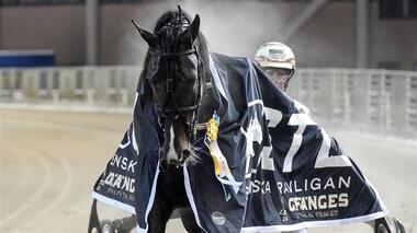 Gareth Boko im Gert Lindbergs Lopp (Foto: atg.se) Gareth Boko im Gert Lindbergs Lopp (Foto: atg.se)