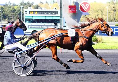 Happy Valley mit Jean-Philippe Dubois im Prix Henri Levesque (Foto: letrot.com) Happy Valley mit Jean-Philippe Dubois im Prix Henri Levesque (Foto: letrot.com)