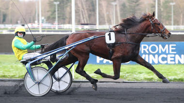 Golden Gio im Prix Maurice de Gheest (Foto: letrot.com) Golden Gio im Prix Maurice de Gheest (Foto: letrot.com)