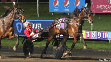 Fast as the Wind im Kindergarten Classic Trot (Foto: standardbredcanada.ca)