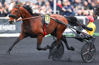 It's a Dollarmaker mit Eric Raffin in der GNT-Clôture (Foto: leparisien.fr) It's a Dollarmaker mit Eric Raffin in der GNT-Clôture (Foto: leparisien.fr)