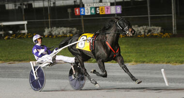 Venerable mit Dave Miller in den Matron Stakes (Foto: sulkysport.se) Venerable mit Dave Miller in den Matron Stakes (Foto: sulkysport.se)