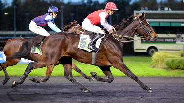 Gigolo Lover gewinnt, Dynasty Péji springt (Foto: letrot.com)