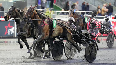 Mack de Blary im Prix Ready Cash (Foto: letrot.com)