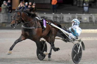 Fit and well: Francesco Zet beim Comeback in Solvalla (Foto: travnet.se) Fit and well: Francesco Zet beim Comeback in Solvalla (Foto: travnet.se)