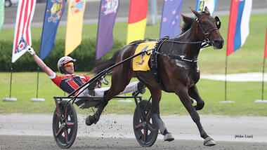 Am Samstag wird Jiggy Jogs Nachfolger gesucht (Foto: Standardbred Canada) Am Samstag wird Jiggy Jogs Nachfolger gesucht (Foto: Standardbred Canada)