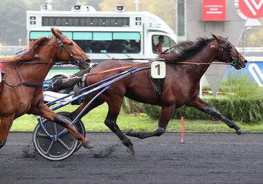 Idao de Tillard im Prix Marcel Laurent (Foto: letrot.com) Idao de Tillard im Prix Marcel Laurent (Foto: letrot.com)