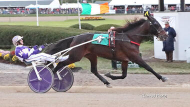 Nicht aufzuhalten: When Dovescry mit David Miller (Foto: standardbredcanada.ca) Nicht aufzuhalten: When Dovescry mit David Miller (Foto: standardbredcanada.ca)