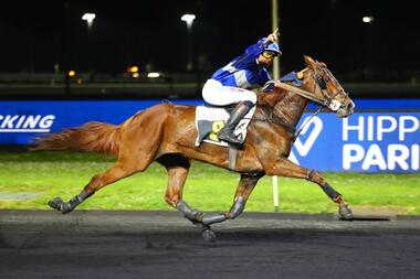 Jaspers Turgot im Prix Félicien Gauvreau (Foto: paris-turf.com) Jaspers Turgot im Prix Félicien Gauvreau (Foto: paris-turf.com)