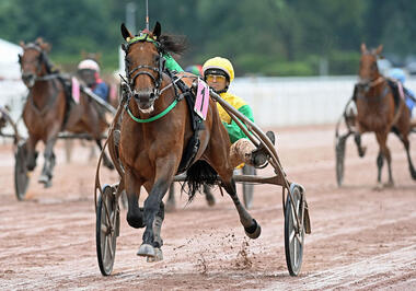 Face Time Bourbon wieder eine Klasse für sich (Foto: letrot.com) Face Time Bourbon wieder eine Klasse für sich (Foto: letrot.com)