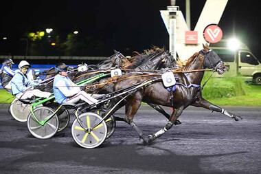 Haziella d‘Amour (6) gewinnt am grünen Tisch den Prix Pierre van Troyen (canalturf.com) Haziella d‘Amour (6) gewinnt am grünen Tisch den Prix Pierre van Troyen (canalturf.com)