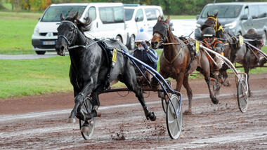 Iguski Sautonne in Saint-Galmier (Foto: letrot.com)