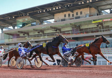 Guter Sport vor leerem Haus in Lyon (Foto: letrot.com) Guter Sport vor leerem Haus in Lyon (Foto: letrot.com)