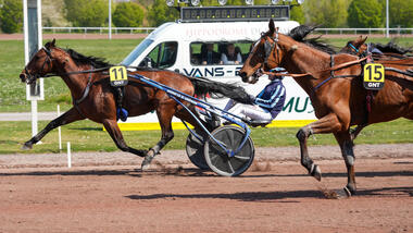 Zweite GNT-Etappe für Jamin de Brion (Foto: letrot.com) Zweite GNT-Etappe für Jamin de Brion (Foto: letrot.com)