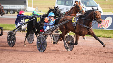 Emeraude de Bais mit Franck Nivard in der letzten GNT-Etappe (Foto: letrot.com)