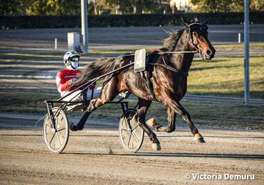 Schon im Heat eine Augenweide: Diamond Truppo (Foto: equos.it)