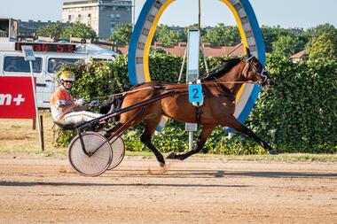 Michael Nimczyk trimuphiert im 111. MAGYAR ÜGETŐDERBY (Fotos: Facebook Kincsem Park) Michael Nimczyk trimuphiert im 111. MAGYAR ÜGETŐDERBY (Fotos: Facebook Kincsem Park)