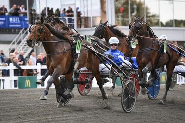 Unico Broline im Uno Sweds Minneslopp (Foto: nwt.se)