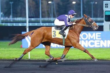 Granit Méslois im Prix Paul Buquet hochüberlegen (Foto: canalturf.com)