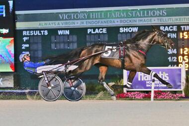 Hambo-Sieger Cool Papa Bell im The Phil Langley Memorial (Foto: harnesslink.com) Hambo-Sieger Cool Papa Bell im The Phil Langley Memorial (Foto: harnesslink.com)