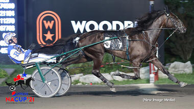 Fashion Frenzie im Goodtimes Trot (Foto: standardbredcanada.ca) Fashion Frenzie im Goodtimes Trot (Foto: standardbredcanada.ca)
