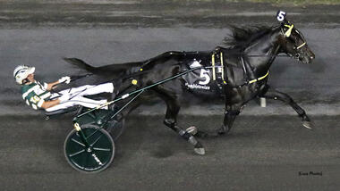 Celebrity Bambino - die Wahl von Yannick Gingras im Hambo-Finale (Foto: standardbredcanada.ca) Celebrity Bambino - die Wahl von Yannick Gingras im Hambo-Finale (Foto: standardbredcanada.ca)