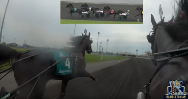 Hambo - Must See! Hambo - Must See!