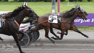 Ein echter Hitchcock: Manchego Nase vor Beads (Foto: standardbredcanada.ca) Ein echter Hitchcock: Manchego Nase vor Beads (Foto: standardbredcanada.ca)