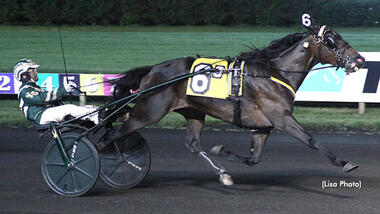 Atlanta (Foto: standardbredcanada.ca) gewinnt, Manchego nicht Atlanta (Foto: standardbredcanada.ca) gewinnt, Manchego nicht