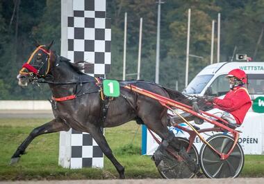 Express Jet und Thomas Panschow im Grand Prix de Gelsenkirchen (Foto: letrot.com)