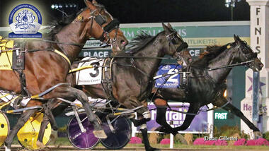 Dramatik pur bei den zweijährigen Pacer-Stuten © standardbredcanada.ca Dramatik pur bei den zweijährigen Pacer-Stuten © standardbredcanada.ca