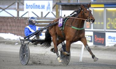 Geisha Road Griff noch in Marcussen-Farben