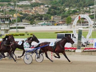 Bleff Dipa im Gran Premio Freccia d’Europa (Foto: equos.it) Bleff Dipa im Gran Premio Freccia d’Europa (Foto: equos.it)