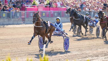 Horsy Dream beim Europarekord-Sieg im Eltiloppet 2024 (Foto: Travronden)