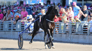 Im Hugo Åbergs Memorial wird der Nachfolger von Borups Victory gesucht (Foto: letrot.com) Im Hugo Åbergs Memorial wird der Nachfolger von Borups Victory gesucht (Foto: letrot.com)