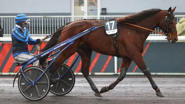 Idao de Tillard (Foto: province-courses.fr) Idao de Tillard (Foto: province-courses.fr)