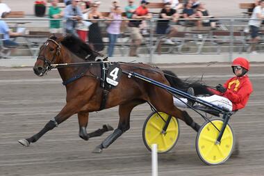Imhatra Am (Foto: Facebook Halmstad Travet) Imhatra Am (Foto: Facebook Halmstad Travet)