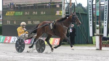 Zaccaria Bar im Gran Premio Citta‘ di Treviso (Foto: equos.it)